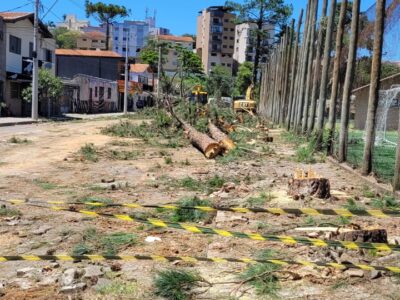 Retirada de árvores Parque Municipal Antônio Molinari