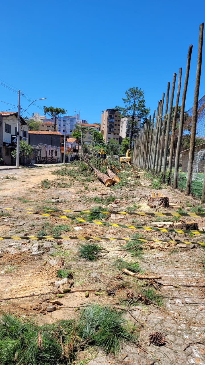 Retirada de árvores Parque Municipal Antônio Molinari 